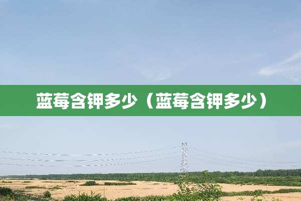 蓝莓含钾多少（蓝莓含钾多少）