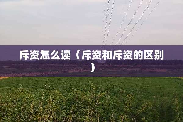 斥资怎么读（斥资和斥资的区别）