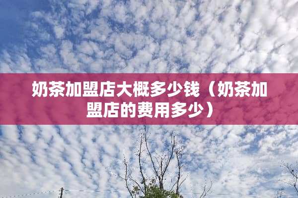 奶茶加盟店大概多少钱（奶茶加盟店的费用多少）