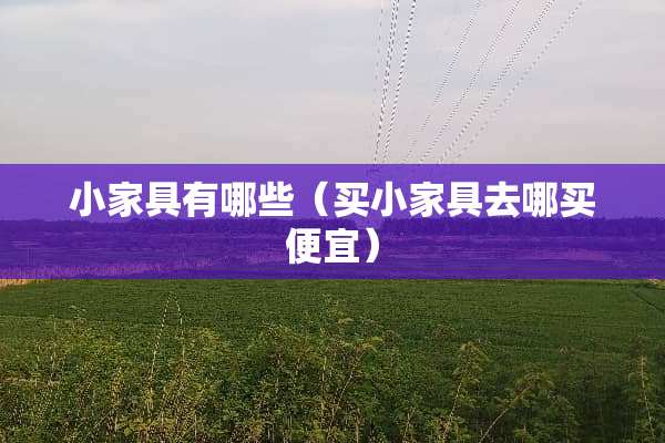小家具有哪些（买小家具去哪买便宜）