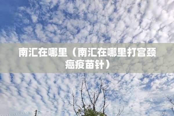 南汇在哪里（南汇在哪里打宫颈癌**针）