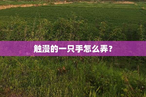 触漫的一只手怎么弄？