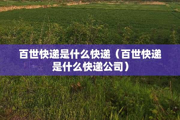 百世快递是什么快递（百世快递是什么快递公司）