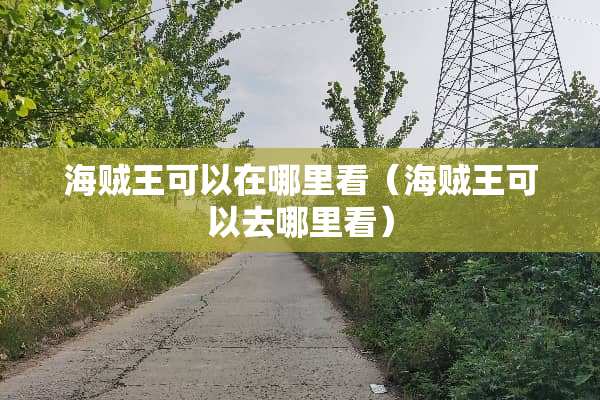 海贼王可以在哪里看（海贼王可以去哪里看）