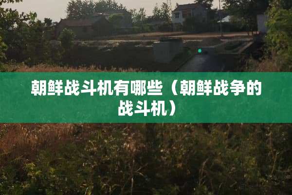 朝鲜战斗机有哪些（朝鲜战争的战斗机）