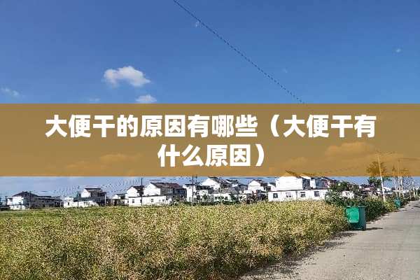 大便干的原因有哪些（大便干有什么原因）