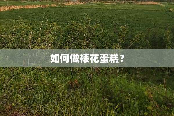 如何做裱花蛋糕？