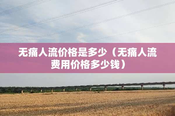 无痛人流价格是多少（无痛人流费用价格多少钱）