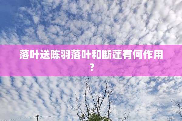 落叶送陈羽落叶和断蓬有何作用？