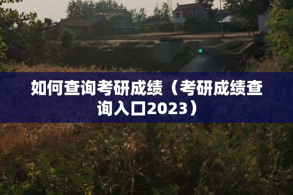 如何查询考研成绩（考研成绩查询入口2023）