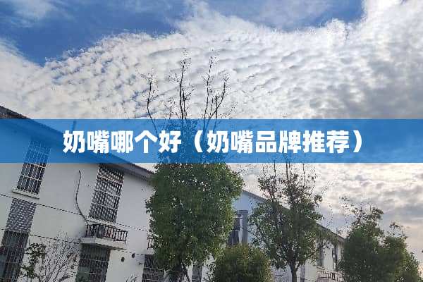 奶嘴哪个好（奶嘴品牌推荐）