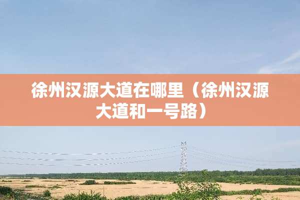 徐州汉源大道在哪里（徐州汉源大道和一号路）