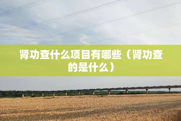 肾功查什么项目有哪些（肾功查的是什么）