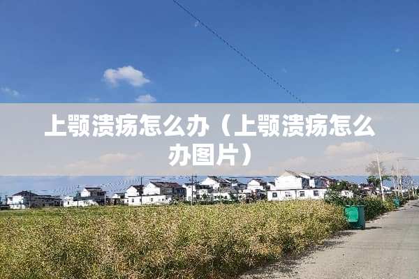 上颚溃疡怎么办（上颚溃疡怎么办图片）