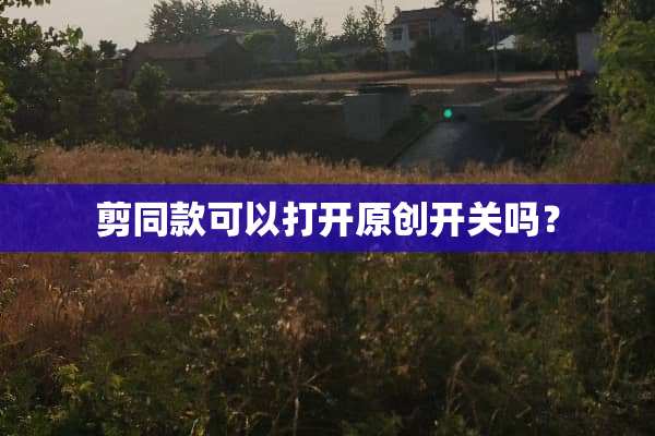剪同款可以打开原创开关吗？