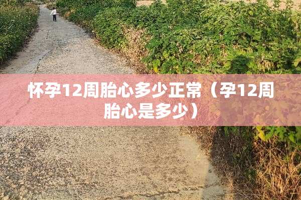 怀孕12周胎心多少正常（孕12周胎心是多少）