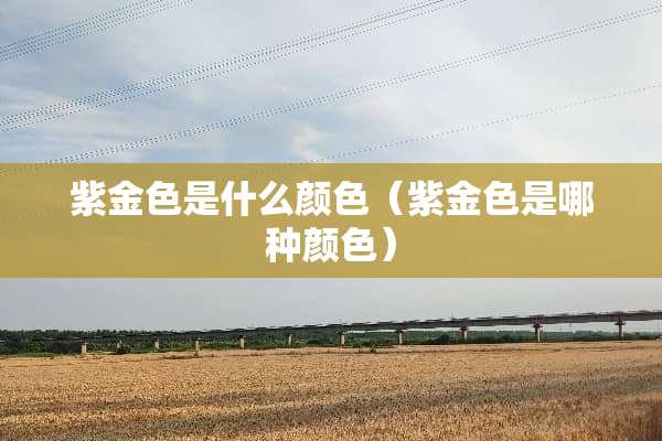 紫金色是什么颜色（紫金色是哪种颜色）