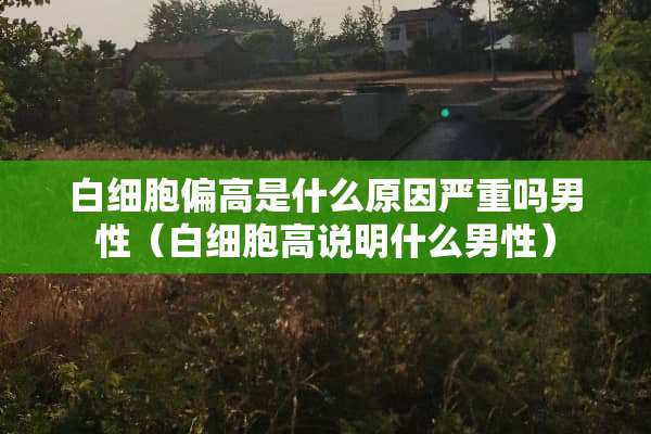 白细胞偏高是什么原因严重吗男性（白细胞高说明什么男性）