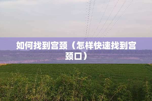 如何找到宫颈（怎样快速找到宫颈口）