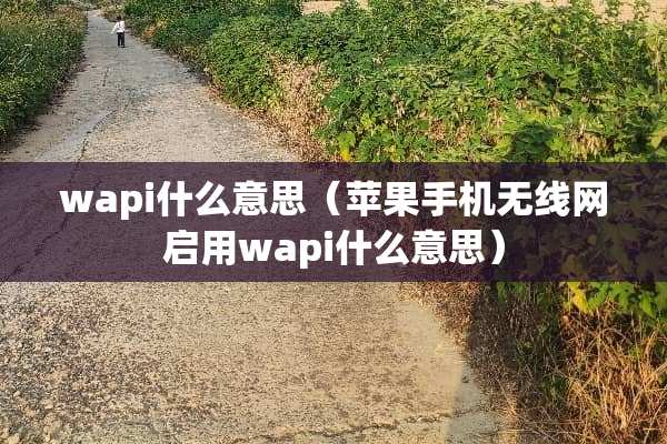 wapi什么意思（苹果手机无线网启用wapi什么意思）