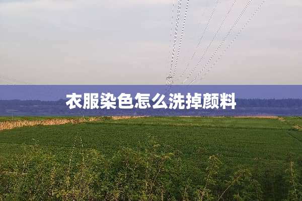 衣服染色怎么洗掉颜料