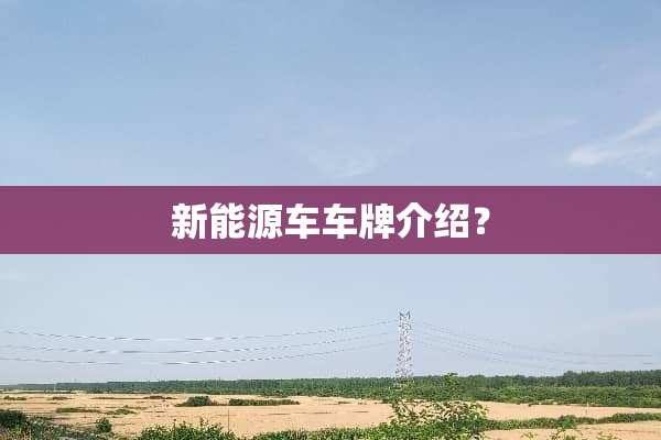 新能源车车牌介绍？