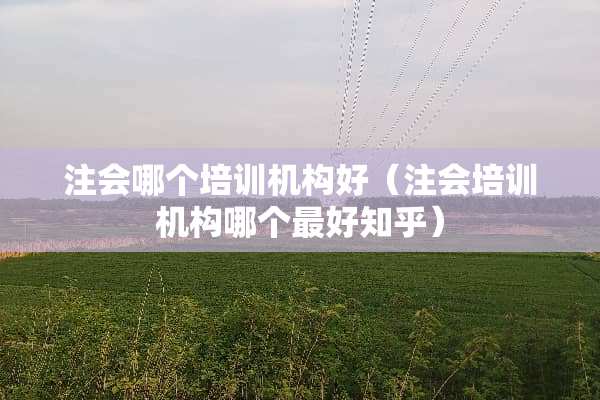 注会哪个培训机构好（注会培训机构哪个最好知乎）