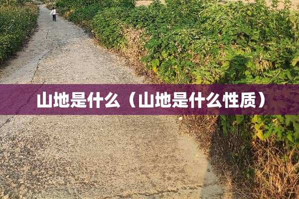 山地是什么（山地是什么性质）