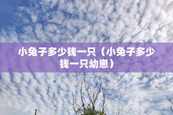 小兔子多少钱一只（小兔子多少钱一只幼崽）