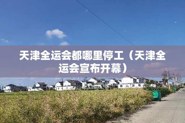 天津全运会都哪里停工（天津全运会宣布开幕）