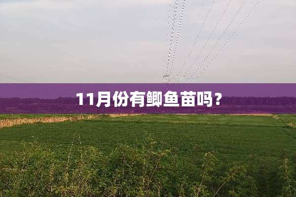 11月份有鲫鱼苗吗？