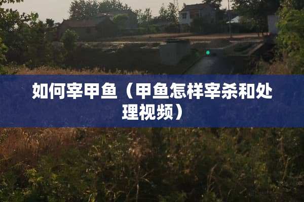 如何宰甲鱼（甲鱼怎样宰杀和处理视频）