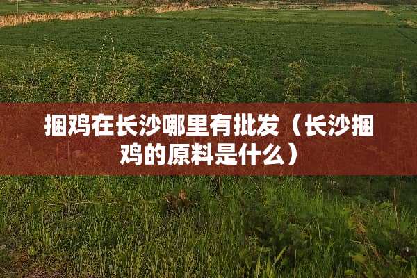 捆鸡在长沙哪里有批发（长沙捆鸡的原料是什么）
