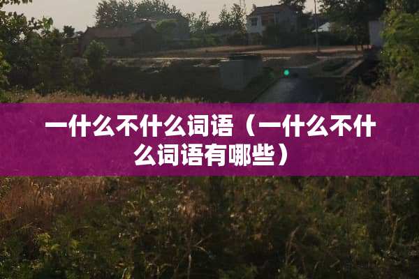 一什么不什么词语（一什么不什么词语有哪些）