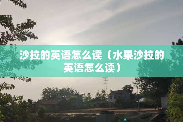 沙拉的英语怎么读（水果沙拉的英语怎么读）