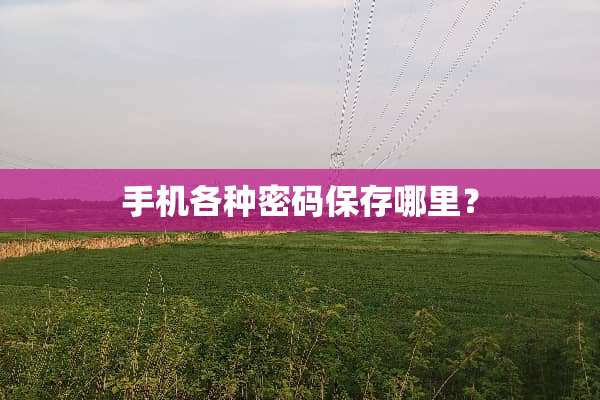 手机各种密码保存哪里？
