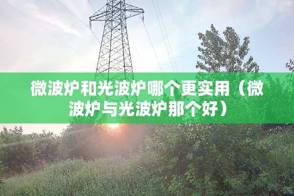 微波炉和光波炉哪个更实用（微波炉与光波炉那个好）