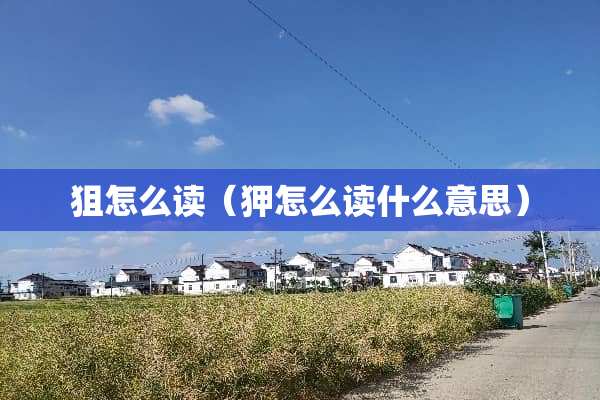 狙怎么读（狎怎么读什么意思）