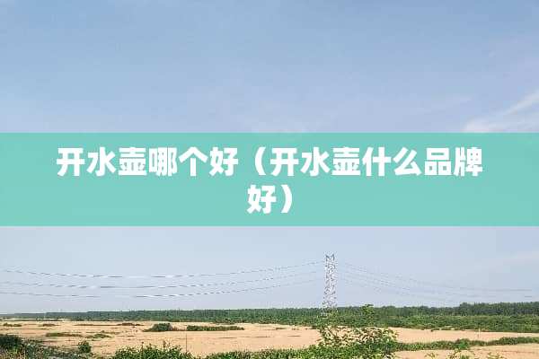 开水壶哪个好（开水壶什么品牌好）