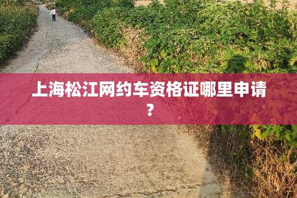 上海松江网约车资格证哪里申请？