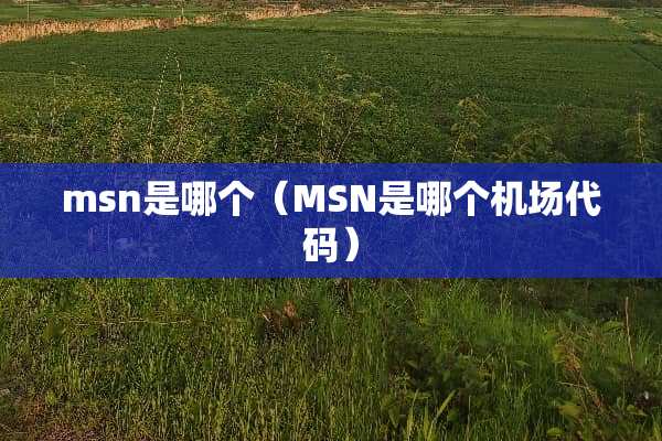 msn是哪个（MSN是哪个机场代码）