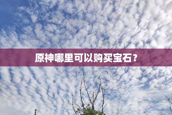原神哪里可以购买宝石？