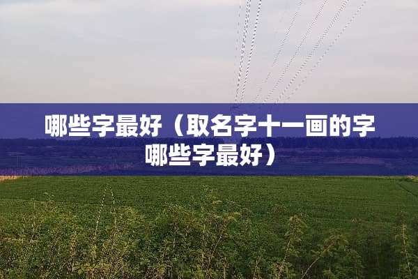 哪些字最好（取名字十一画的字哪些字最好）
