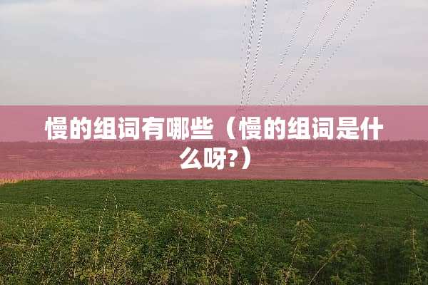 慢的组词有哪些（慢的组词是什么呀?）