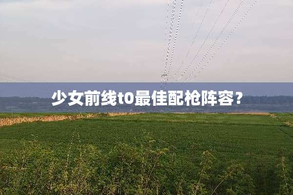 少女前线t0最佳配*阵容？