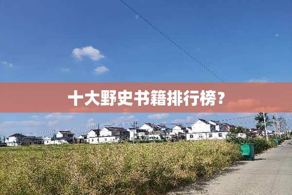 十大野史书籍排行榜？
