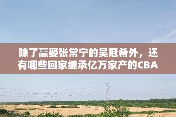 除了赢娶张常宁的吴冠希外，还有哪些回家继承亿万家产的CBA球员？
