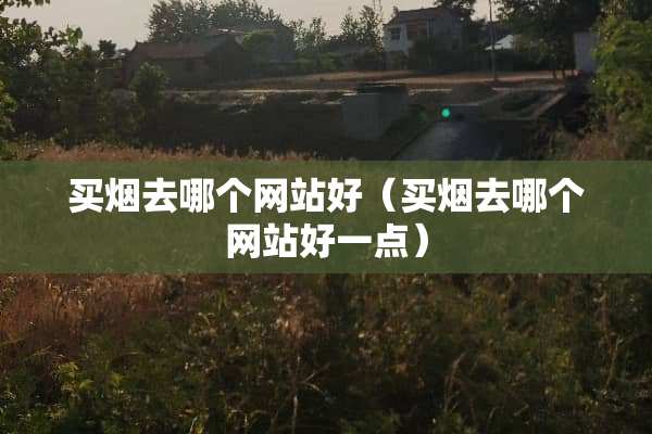 买烟去哪个网站好（买烟去哪个网站好一点）