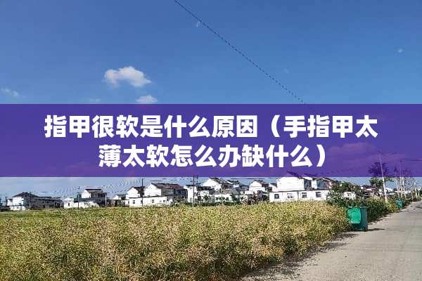 指甲很软是什么原因（手指甲太薄太软怎么办缺什么）