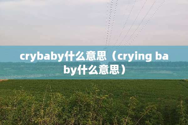 crybaby什么意思（crying baby什么意思）